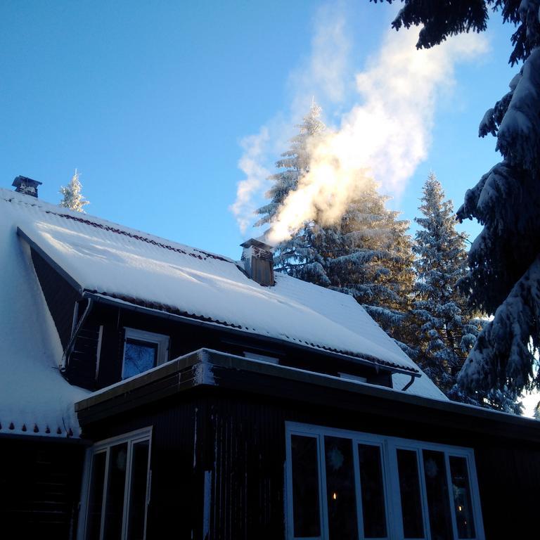 מלון זנקט אנדריאסברג The Cabin - Harz National Park מראה חיצוני תמונה